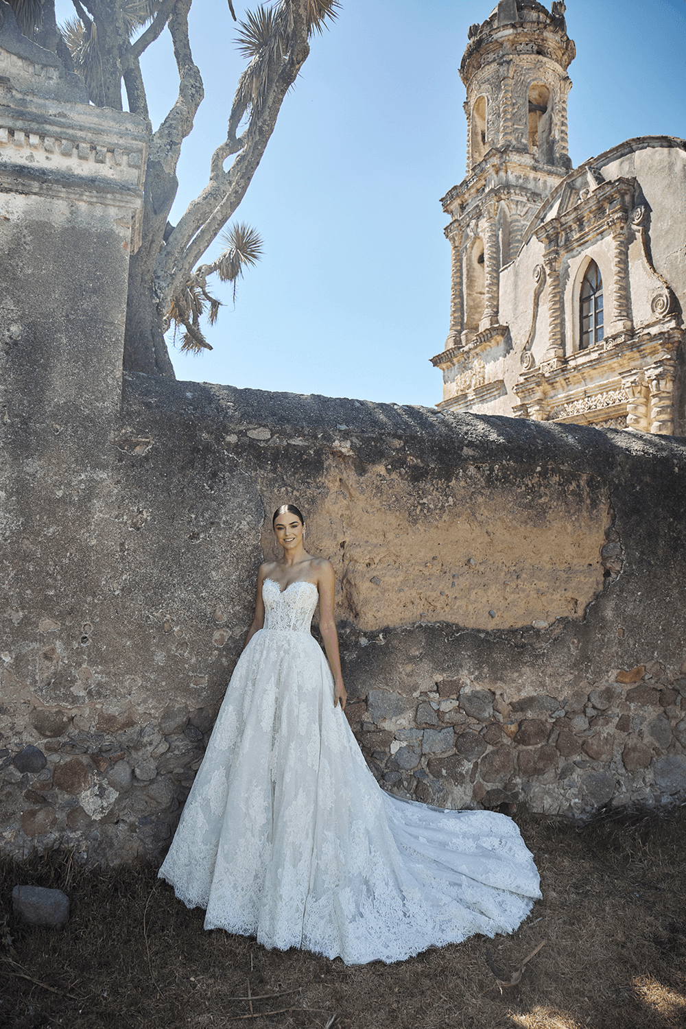 Blush, Elegant A-Line Gown | Esposa