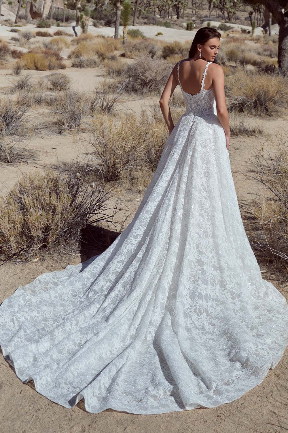 Calla Blanche, Delicate Lace A-Line Dress | Esposa