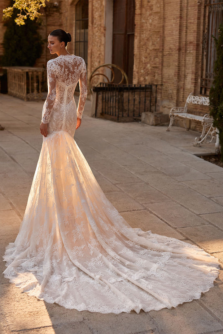 Pronovias Privée, Alphey, Romantic Lace Mermaid Gown | Esposa