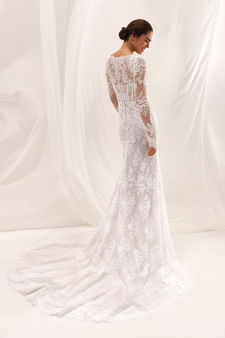 Pronovias, Arooks, Romantic Lace Mermaid Gown | Esposa