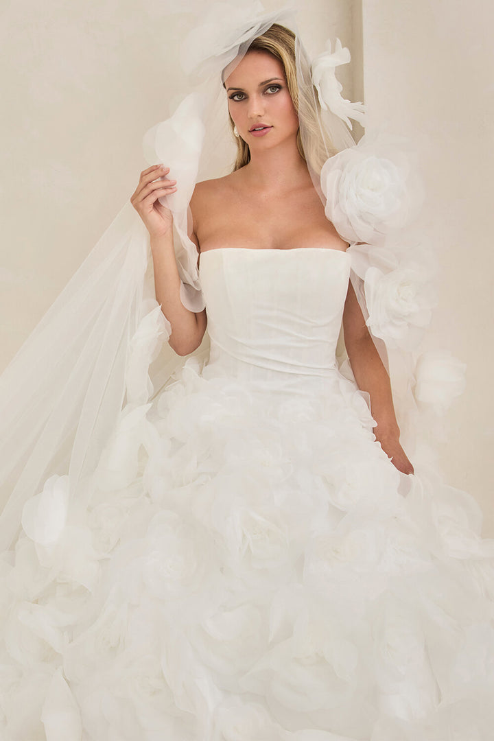 Blush, Voluminous Tulle Gown | Esposa