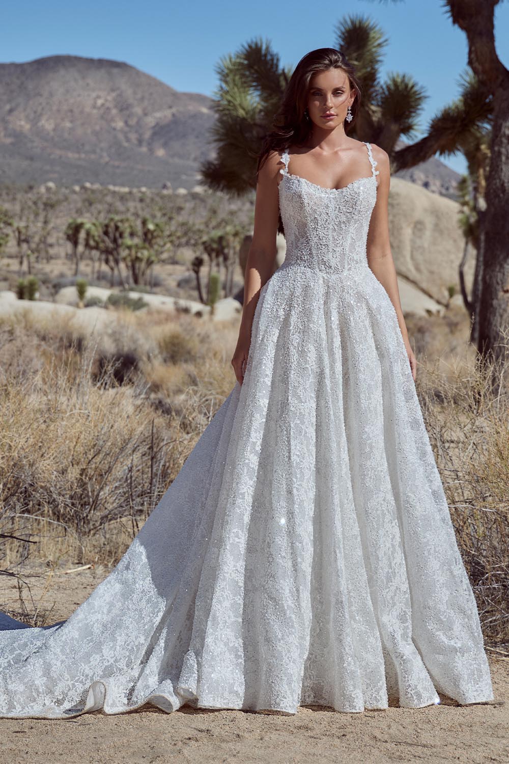 Calla Blanche, Delicate Lace A-Line Dress | Esposa