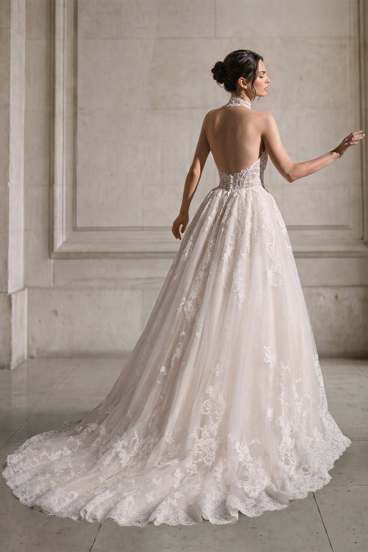 Pronovias Privée, Calyxor, Romantic Lace Halter A-Line Gown | Esposa