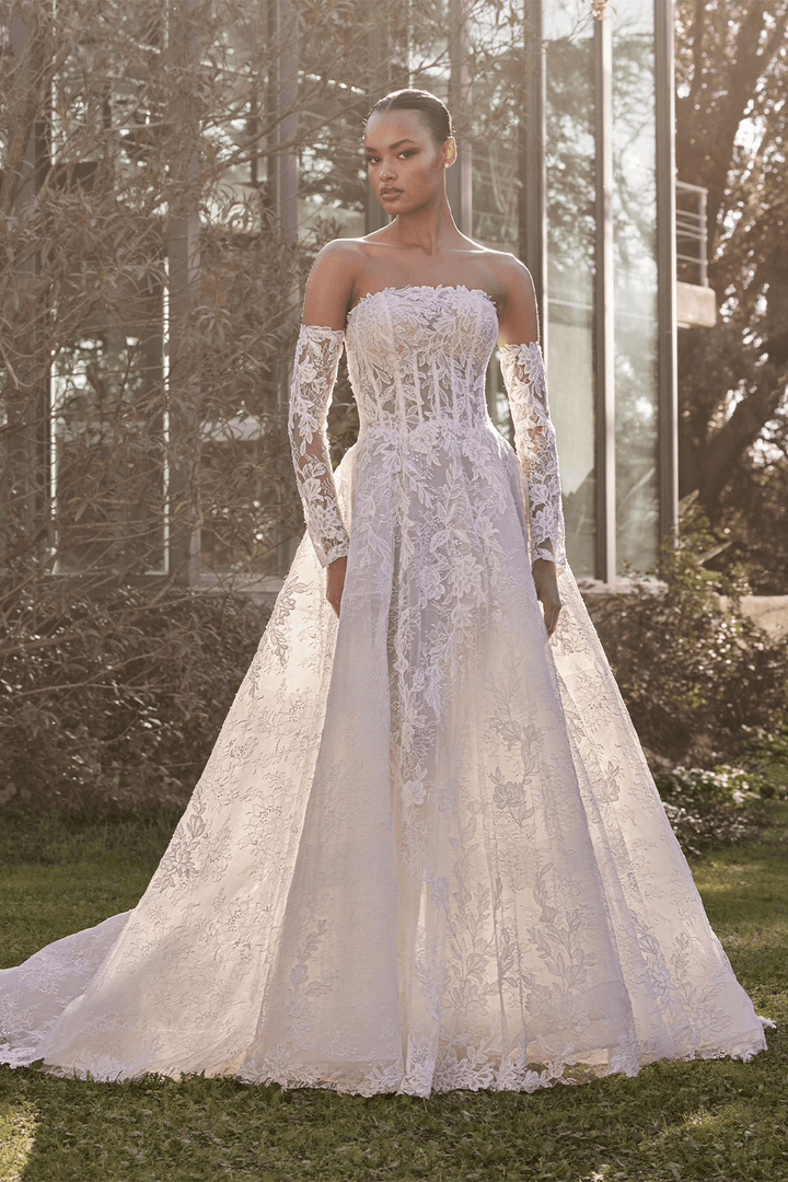 Pronovias, Ethereal Ball Gown | Esposa