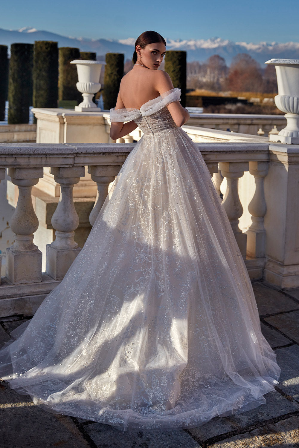 Pronovias Privée, A-line Glitter Gown | Esposa