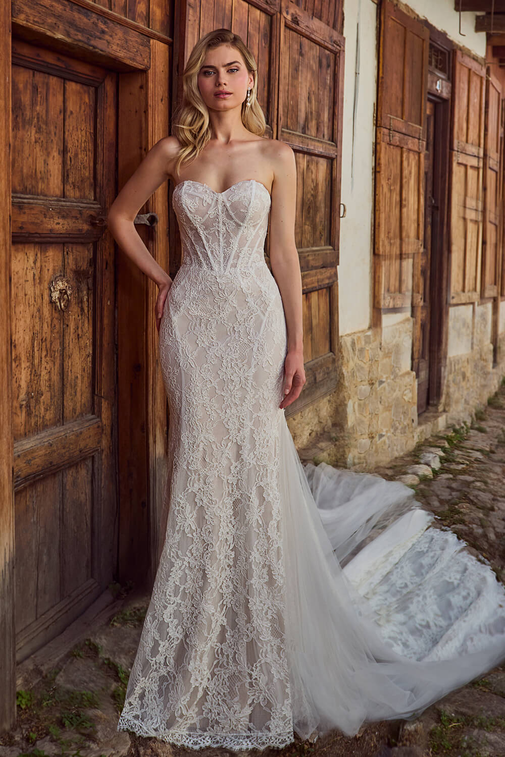 Blush, Lace Mermaid Dress | Esposa