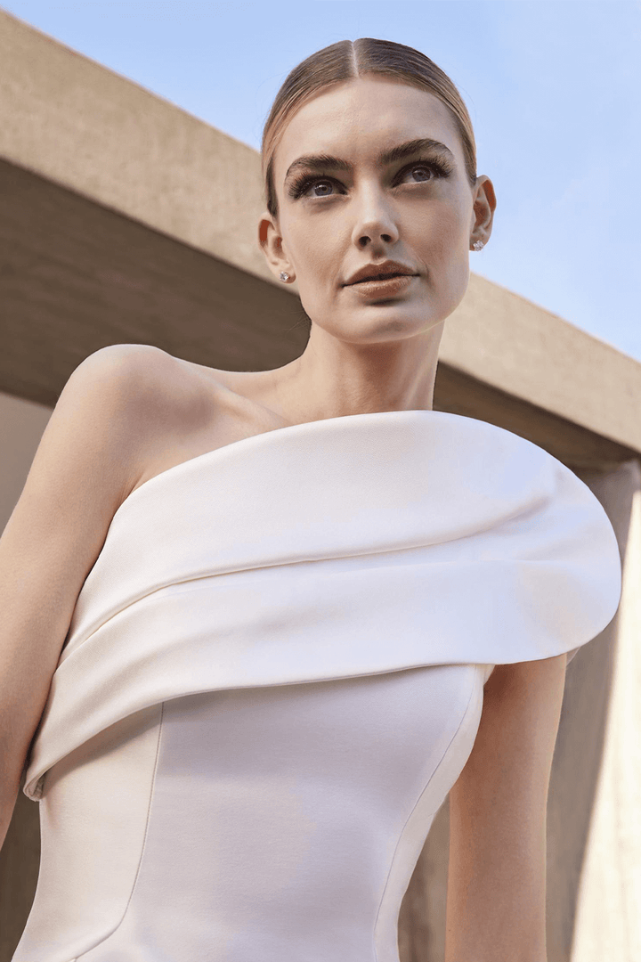 Pronovias, Dramatic A-Line Gown | Esposa