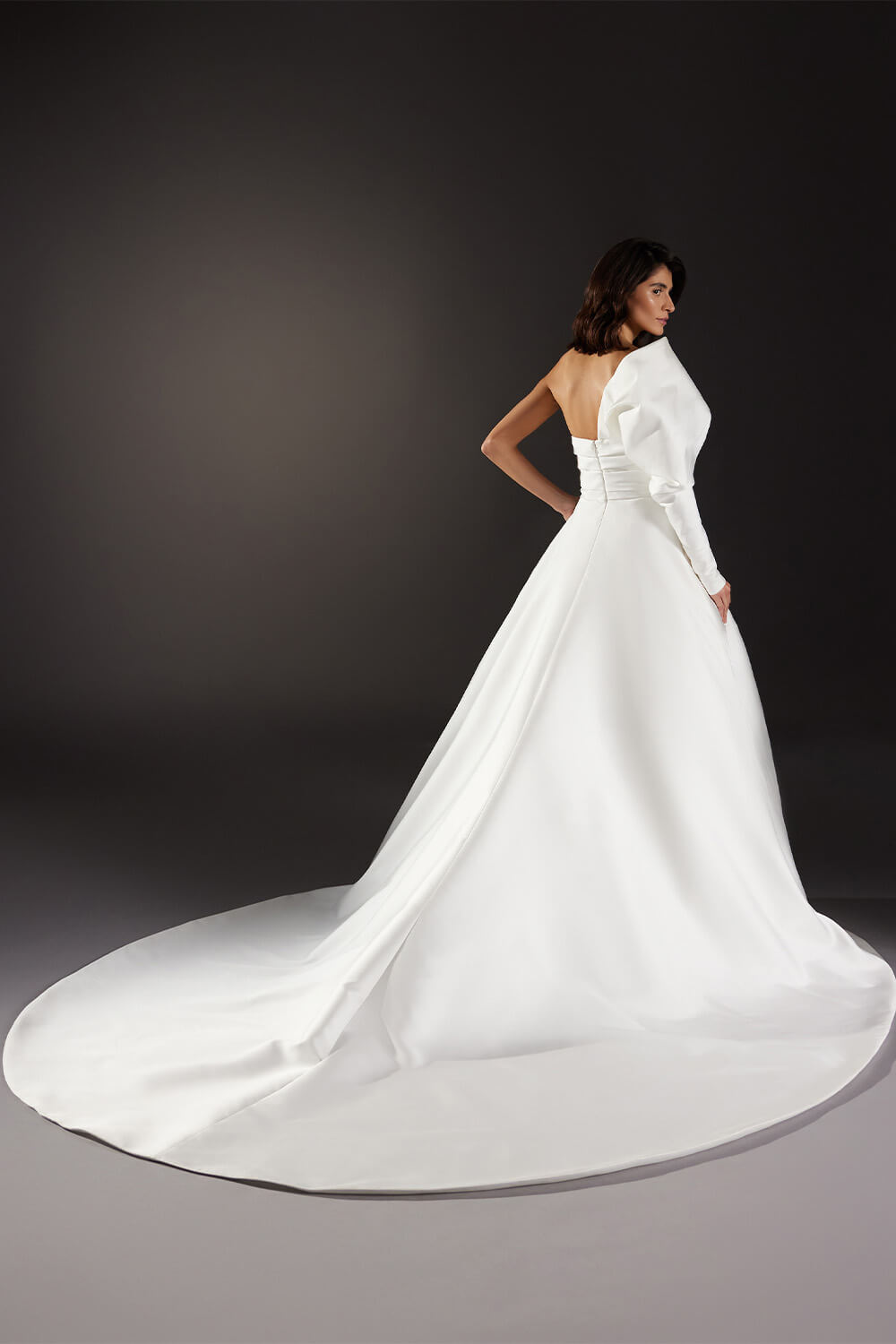 Atelier Pronovias, Stunning Ball Gown | Esposa