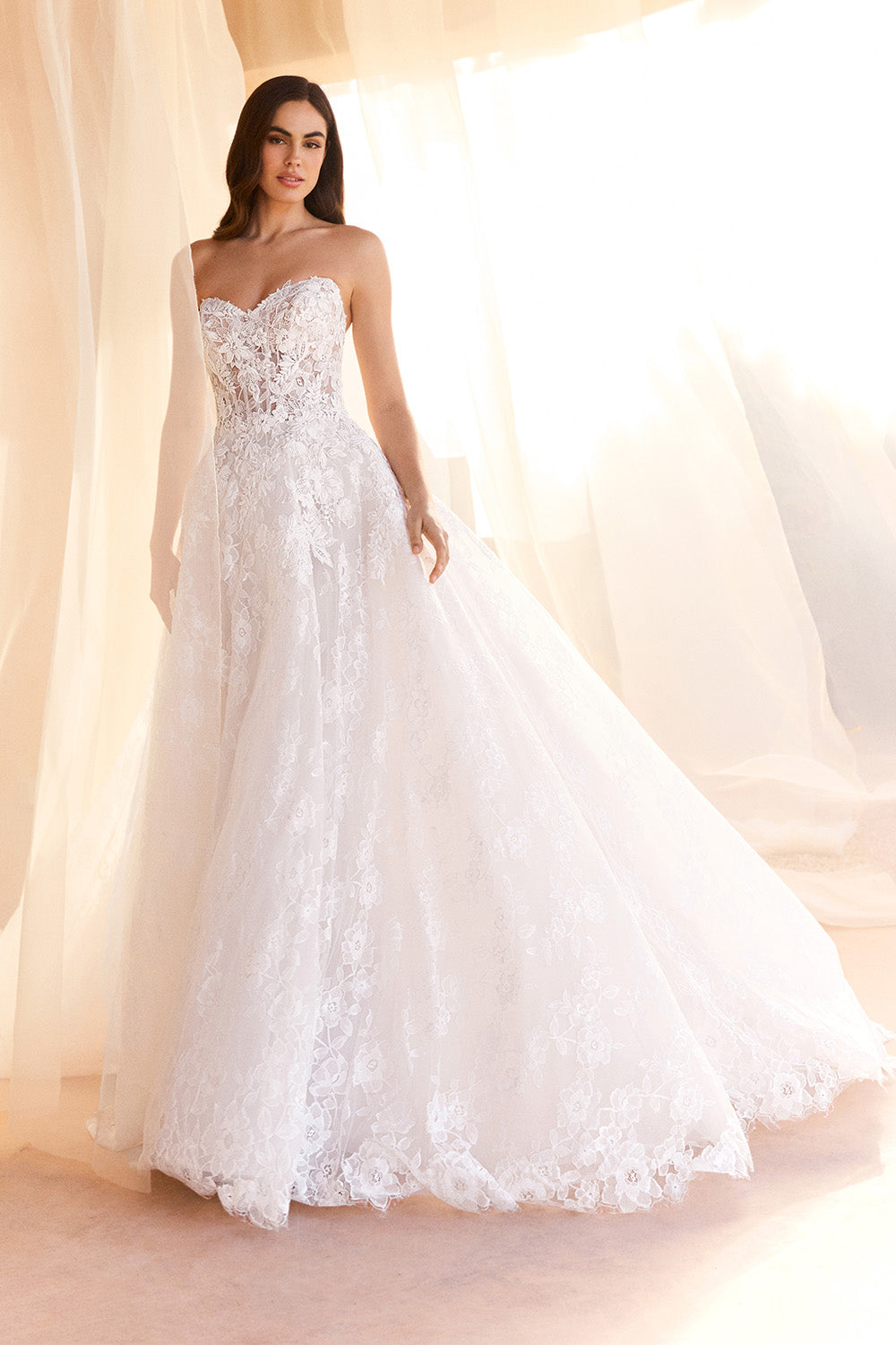 Pronovias, Naisy, Floral Lace Ball Gown | Esposa