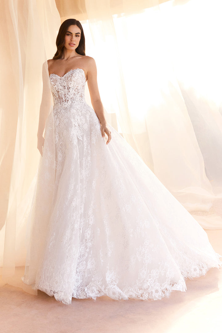 Pronovias, Naisy, Floral Lace Ball Gown | Esposa