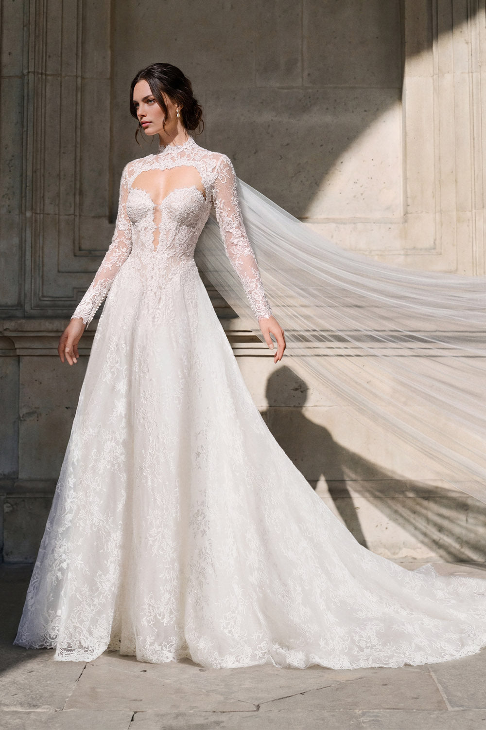 Pronovias Privée, Hedyx, Romantic Lace A-Line Gown | Esposa