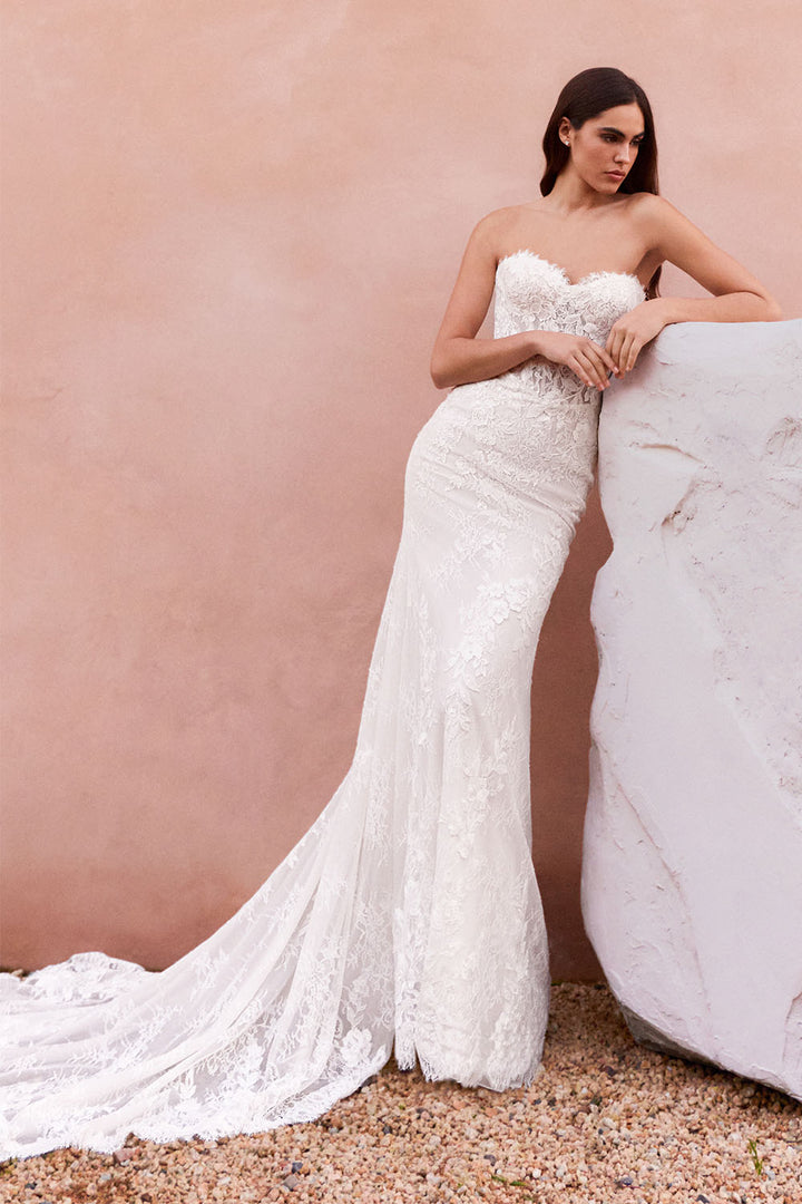 Pronovias, Tzoe, Strapless Lace Mermaid Gown | Esposa