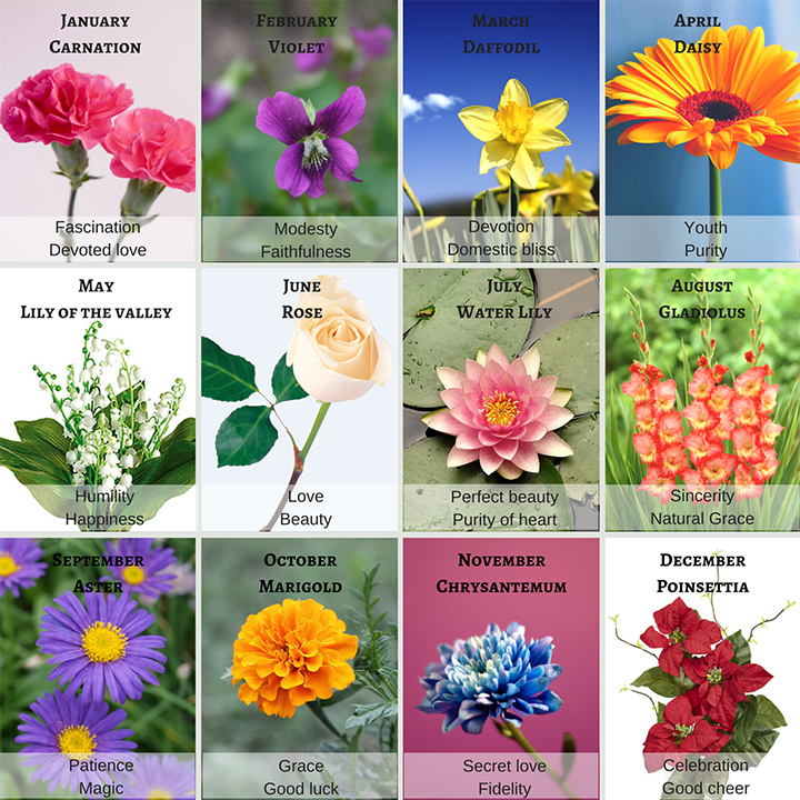Identify your flowers and their symbolism