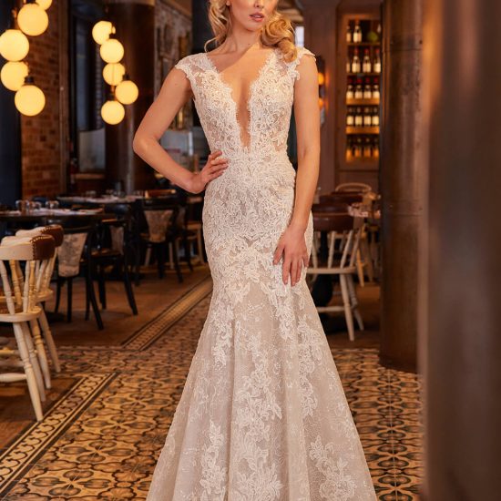 sexy mermaid lace gown