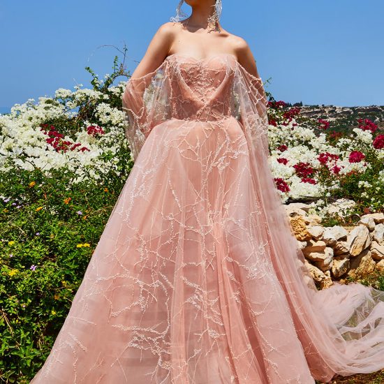 Embroidered Tulle Gown