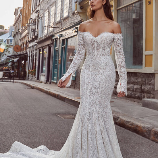 Romantic lace mermaid wedding dress with sleeves