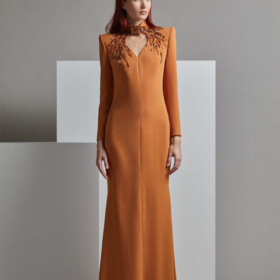 Evening Dress with long sleeves