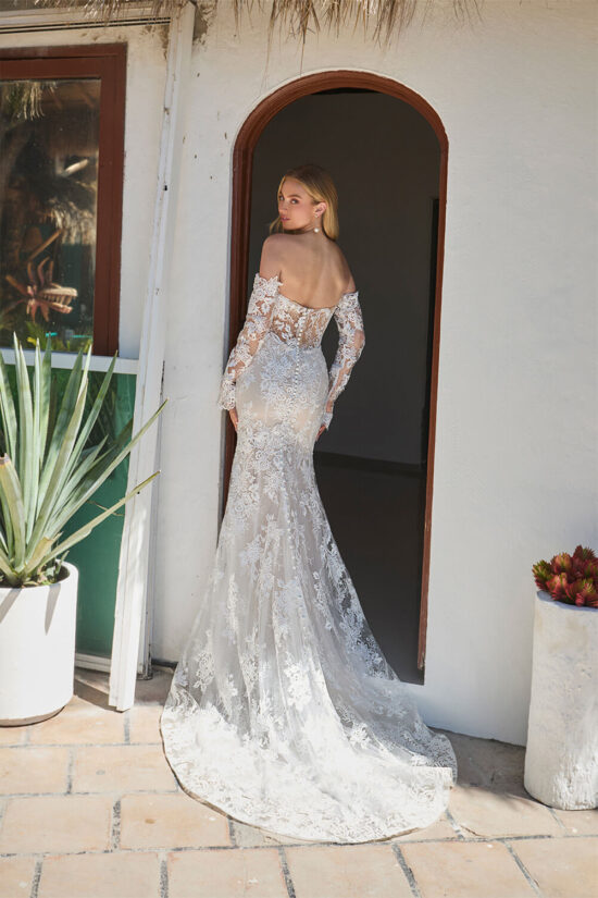 Elegant Lace Mermaid Dress With Sleeves