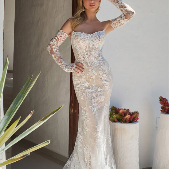 Elegant Lace Mermaid Dress with Sleeves